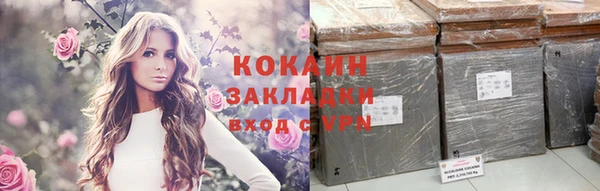 дживик Богданович