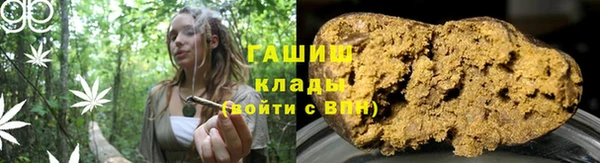 индика Щёлкино