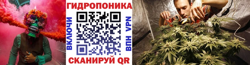 дарнет шоп  Обь  Бошки марихуана индика 